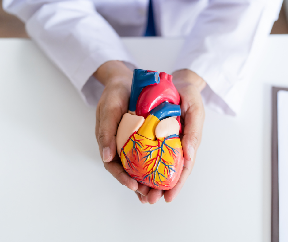 Cardiologista- Acompanhamento personalizado